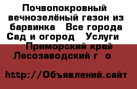 Почвопокровный, вечнозелёный газон из барвинка - Все города Сад и огород » Услуги   . Приморский край,Лесозаводский г. о. 